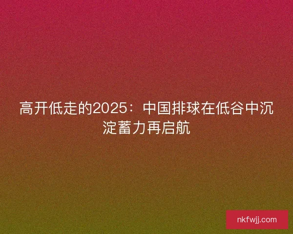 高开低走的2025：中国排球在低谷中沉淀蓄力再启航